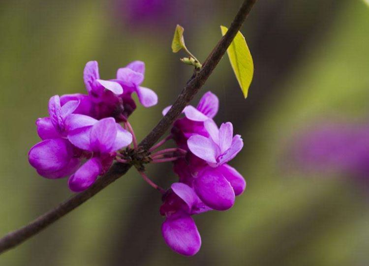 太阳成tyc7111cc|未来的农村也将面临大洗牌,农民们该何去何从?(图2) 太阳成tyc7111