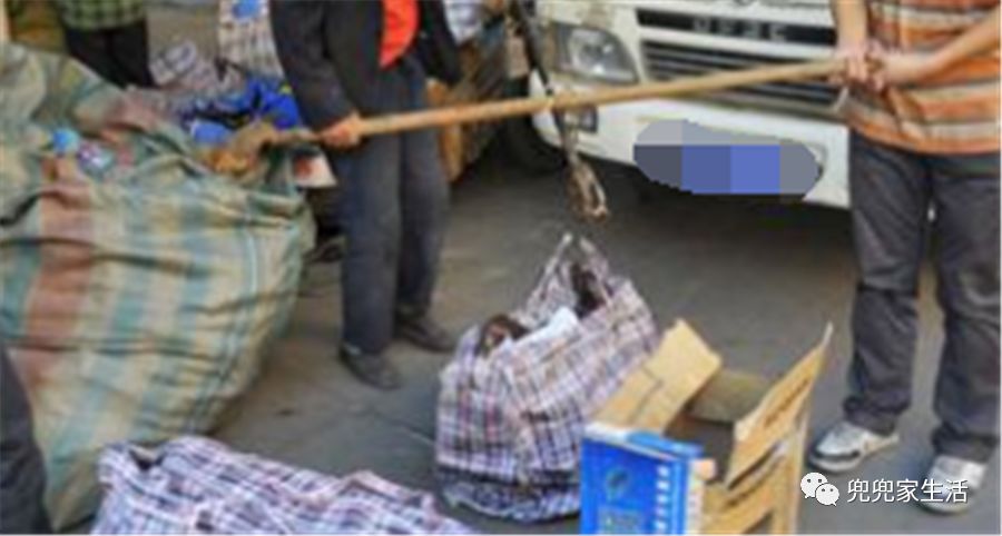 太阳成集团tyc7111cc