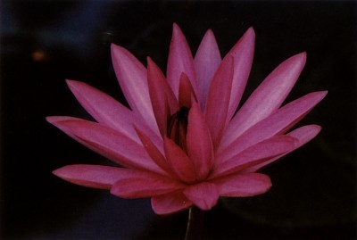 太阳成集团tyc7111cc