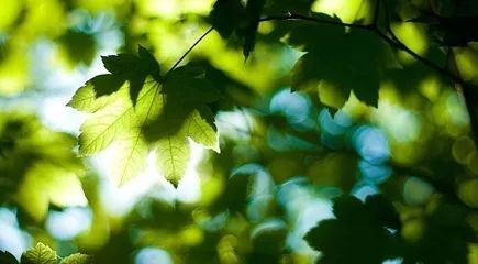 ‘太阳成tyc7111’西非名医感染埃博拉病毒曾治愈百余名患者(图2) 太阳成集团tyc7111cc