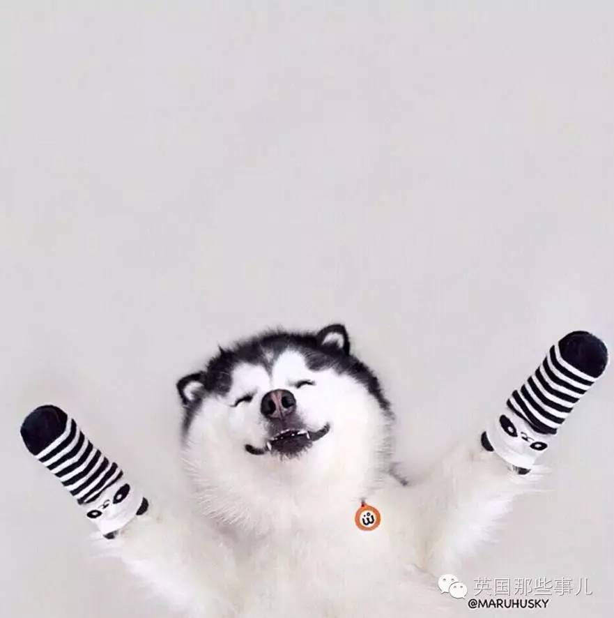 夏季老年人养生要注意四补 老年人夏季养生宜吃什么-太阳成集团tyc7111cc(图4) 太阳成tyc7111