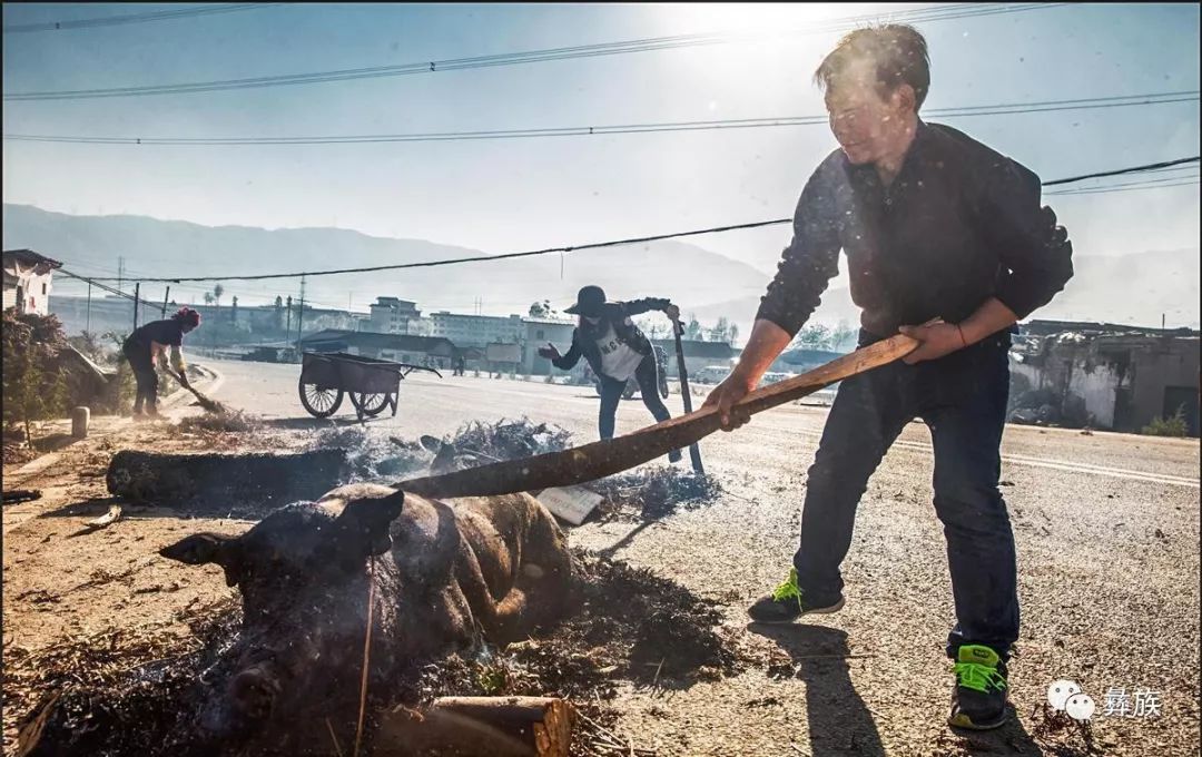 披上“爱国”外衣的歧视更可恶-太阳成tyc7111(图1) 太阳成tyc7111cc