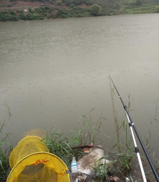 太阳成tyc7111_关节炎会伴随关节痛、残疾、行走困难 患上关节炎应该怎么办?(图2) 太阳成集团tyc7111cc