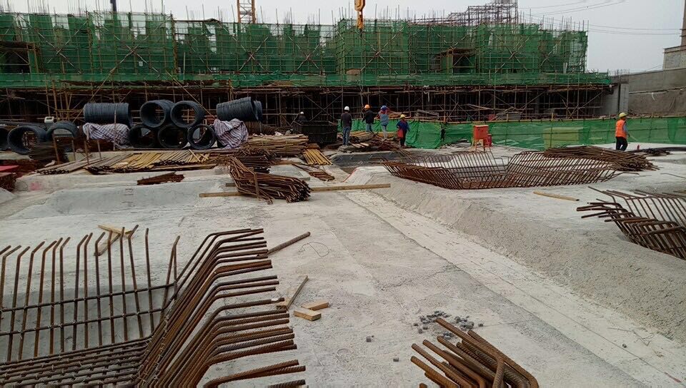 学校应担负青少年禁烟的责任-太阳成集团tyc7111cc(图2) 太阳成tyc7111