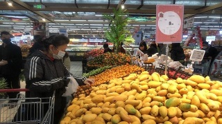 太阳成tyc7111_夏季常见猪病及其治疗方法(图3) 太阳成tyc7111cc