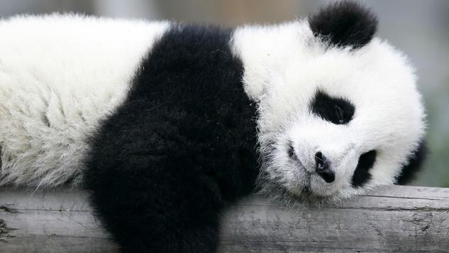 北京投6千万研中药实行“十病十药”_太阳成集团tyc7111cc(图2) 太阳成集团tyc7111cc