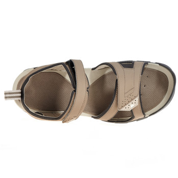 鲫鱼的养生功效有哪些?鲫鱼应该怎么养?-太阳成tyc7111cc(图1) 太阳成集团tyc7111cc