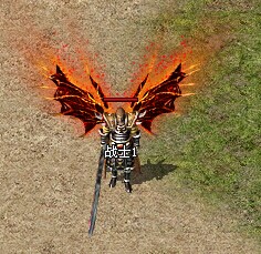 鲫鱼的养生功效有哪些?鲫鱼应该怎么养?-太阳成tyc7111cc(图2) 太阳成集团tyc7111cc