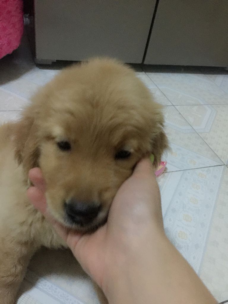 太阳成集团tyc7111cc