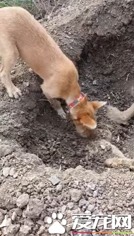 “五一”热门旅游城市:广州居首 苏州跻身前三:太阳成tyc7111(图3) 太阳成tyc7111