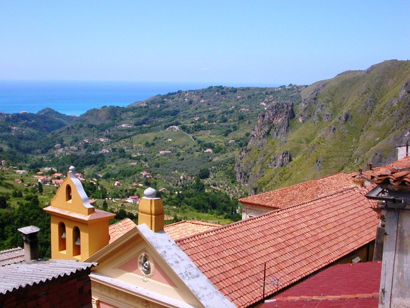 “太阳成tyc7111”中小连锁药店的日子不好过了?(图1) 太阳成tyc7111cc