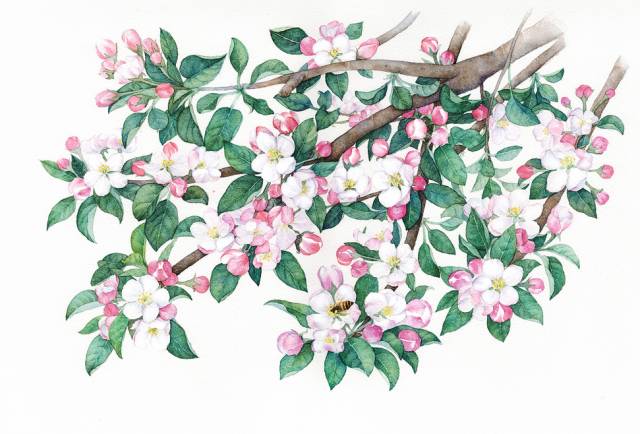 太阳成tyc7111cc|
廖凡白宇透光对视极端催泪 《缄默沉静的真相》创意报纸获赞(图1) 太阳成tyc7111cc