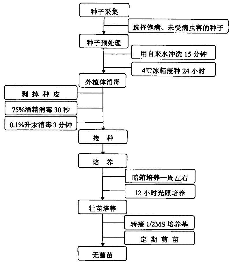 太阳成tyc7111cc_男孩首次遗精要注意哪些事 不可掉以轻心(图1) 太阳成tyc7111