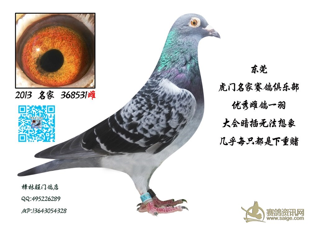 英语单词记不住怎么办?一天记300个单词的方法 让你成英语妙手‘太阳成集团tyc7111cc’(图1) 太阳成集团tyc7111cc