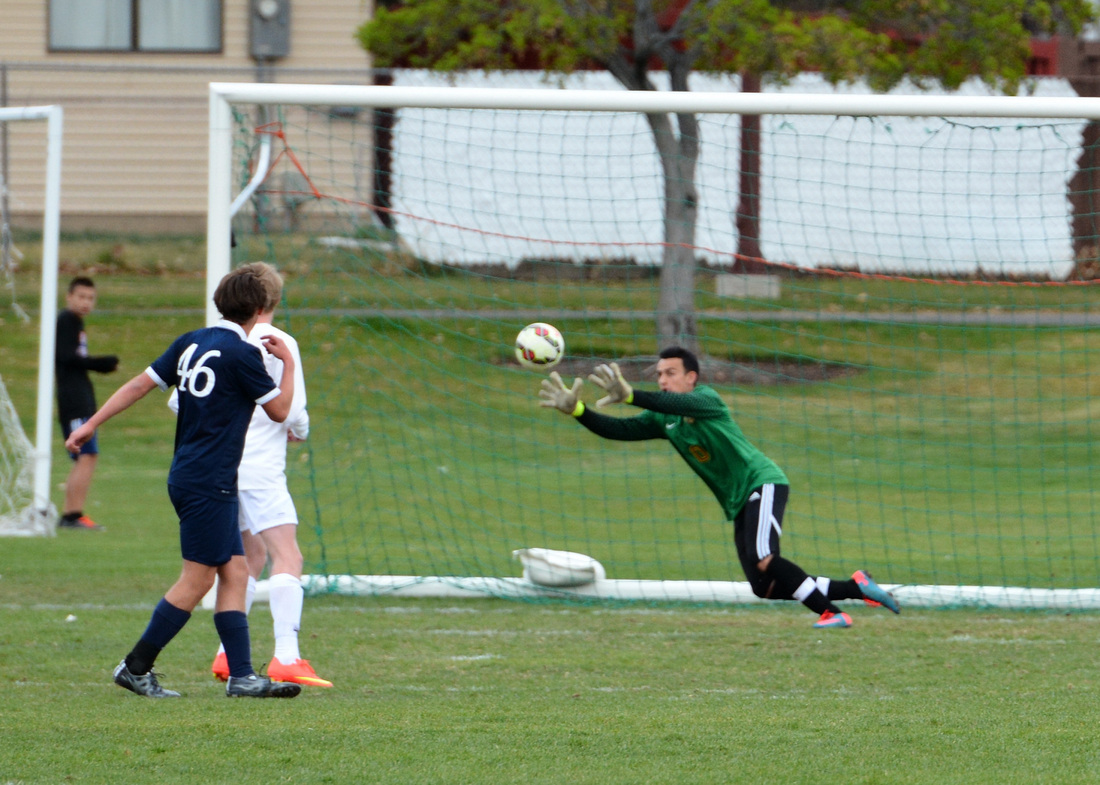 宁鄂学子 “云”上牵手 云端播绿-太阳成tyc7111(图3) 太阳成集团tyc7111cc