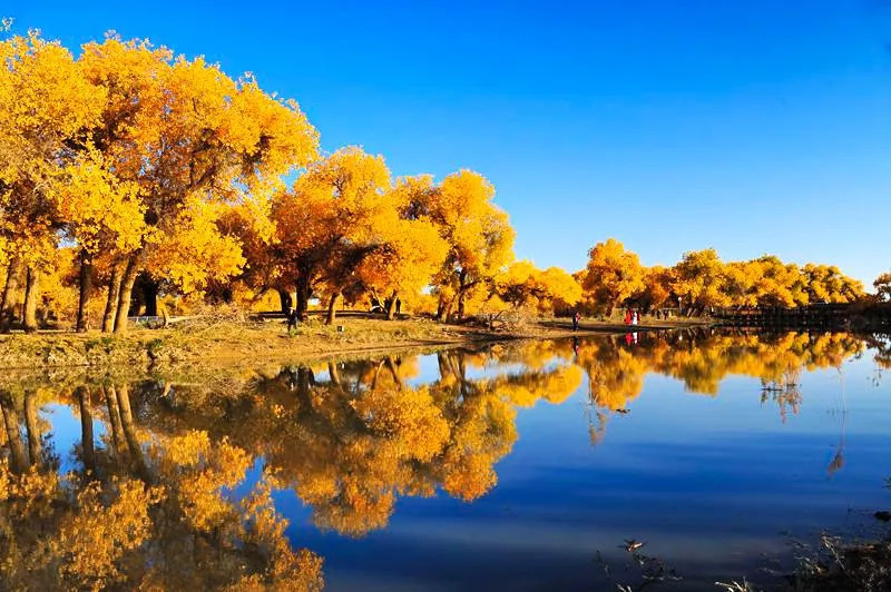 东风汽车高层重组 加速冲击335万年销目标|太阳成tyc7111(图1) 太阳成tyc7111cc