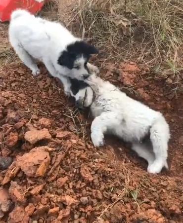 太阳成集团tyc7111cc