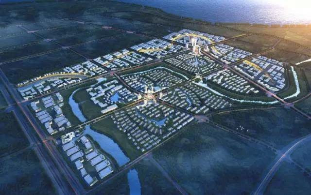 ‘太阳成集团tyc7111cc’狼青犬的价格如何?为什么狼青犬在家庭饲养中很少见?(图1) 太阳成tyc7111cc