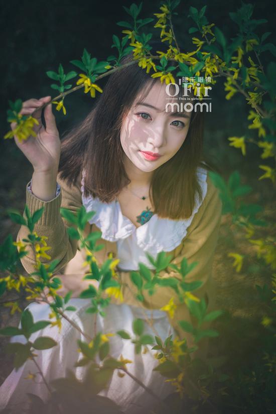 太阳成tyc7111cc:福建厦门开禾市场鲍鱼价格消费上涨(图3) 太阳成tyc7111