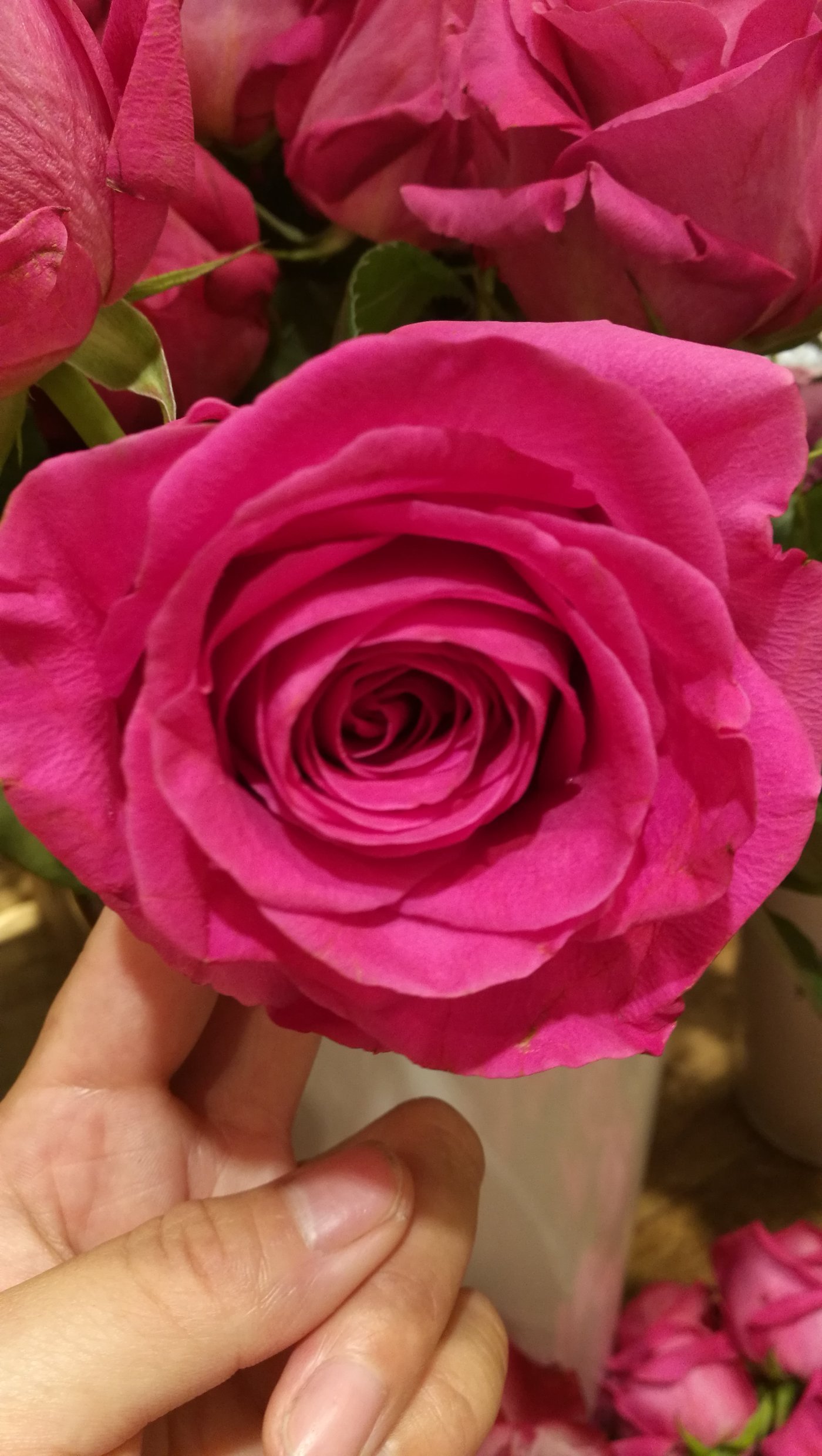 太阳成集团tyc7111cc