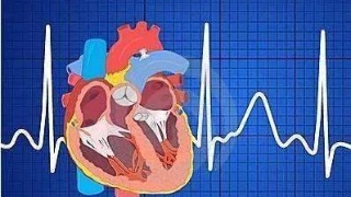 ‘太阳成集团tyc7111cc’奥迪在华单飞 与一汽成立一汽-奥迪销售公司(图2) 太阳成tyc7111cc