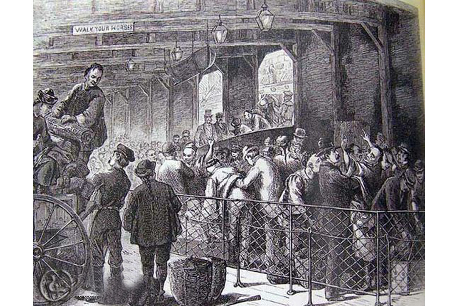 泰州大鳡鱼成鱼苗杀手-太阳成tyc7111(图1) 太阳成tyc7111