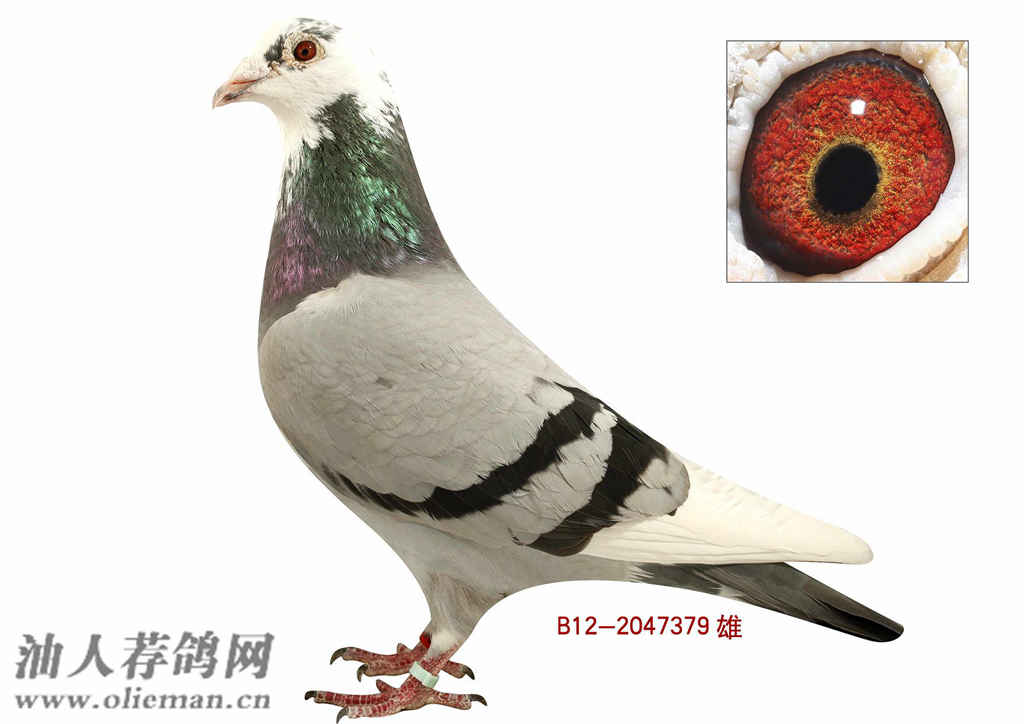 太阳成tyc7111-
从反抗到息争——为什么我们接纳了“土味文化”?(图4) 太阳成tyc7111