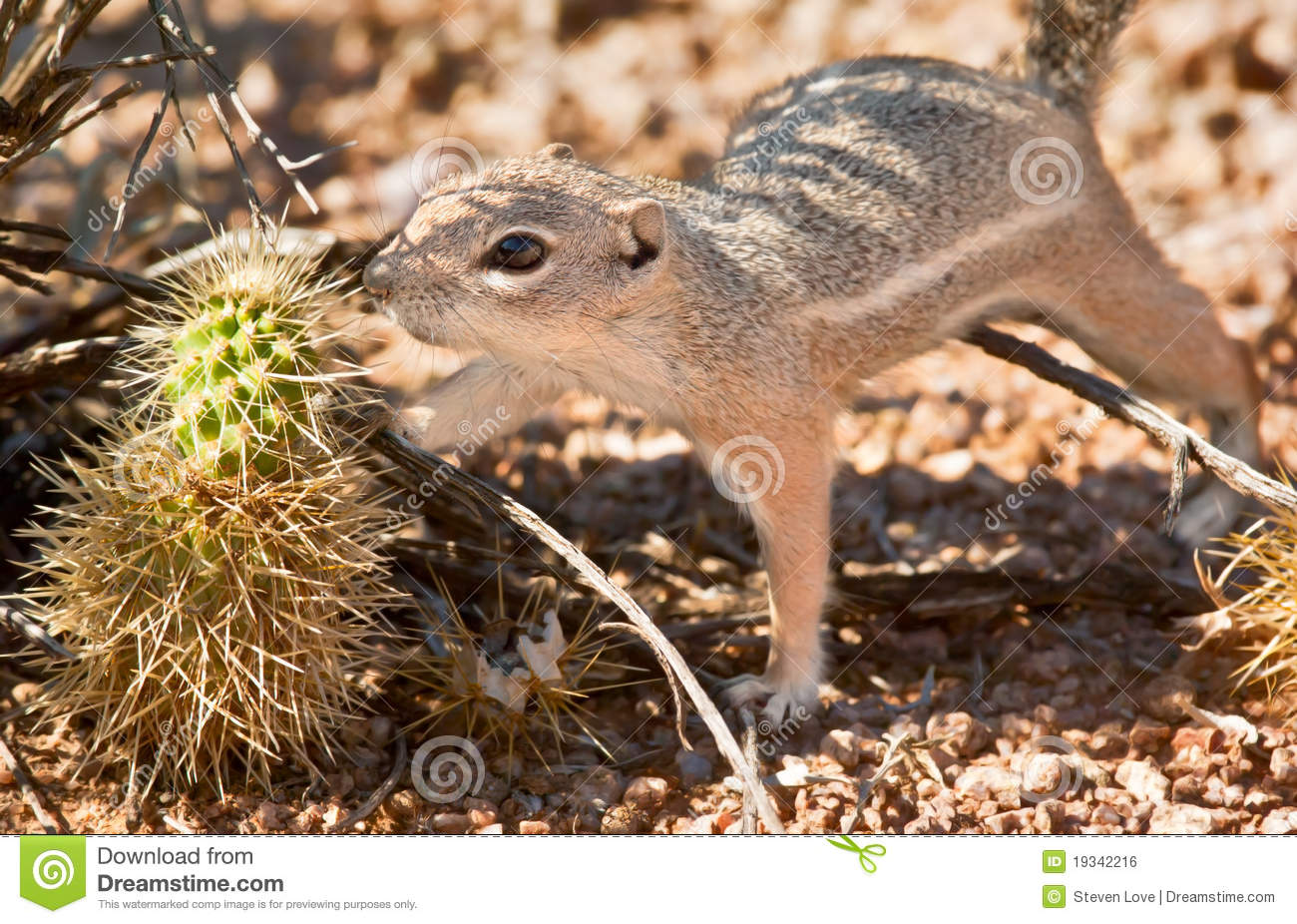 做人 究竟什么最重要?_太阳成tyc7111cc(图2) 太阳成tyc7111