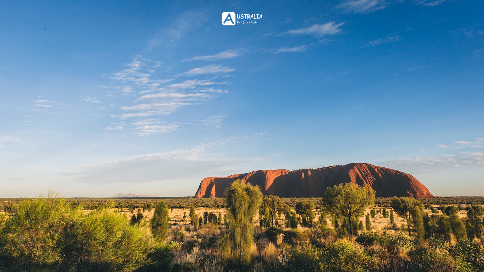 江西省政协原副主席宋晨光受贿案一审开庭|太阳成tyc7111cc(图4) 太阳成集团tyc7111cc