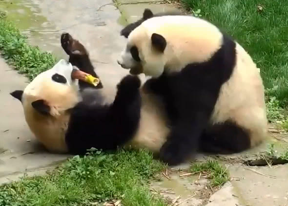 【太阳成集团tyc7111cc】“全面二孩”急需谋划“入托难”等系列问题(图1) 太阳成tyc7111