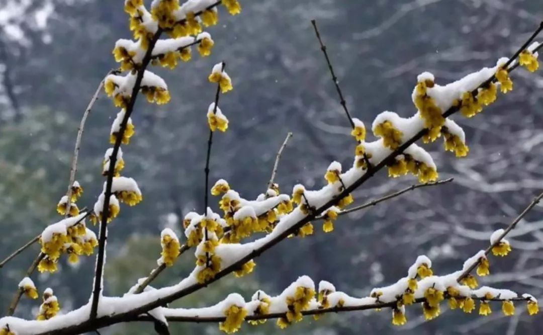 加班7天拿17天工资,要提醒更要执法【太阳成tyc7111】(图1) 太阳成tyc7111cc