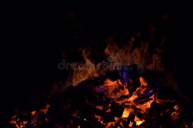 “三鹿”品牌重回食品业欲借有机粗粮重生|太阳成tyc7111(图2) 太阳成tyc7111