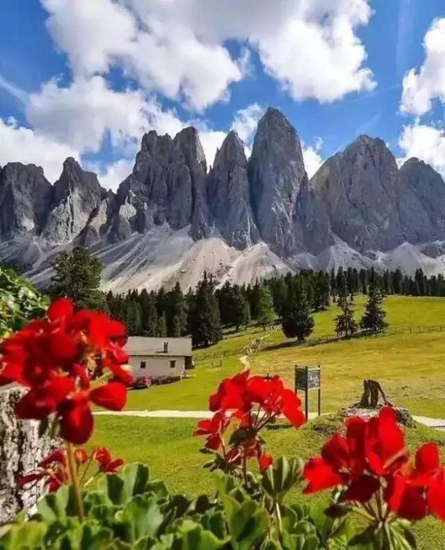 上海:上海闵行区浦江镇粮食高产示范方接受测产‘太阳成tyc7111cc’(图1) 太阳成tyc7111cc