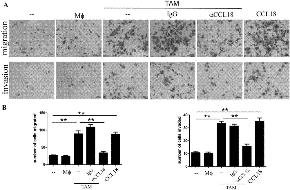 “健康试药人”行业揭密‘太阳成tyc7111’(图2) 太阳成tyc7111cc
