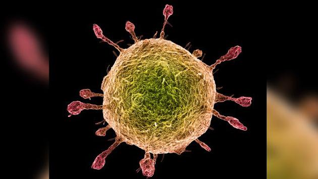 绿叶医疗携克利夫兰医学中心齐议中美健康合作|太阳成集团tyc7111cc(图2) 太阳成tyc7111