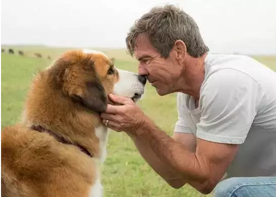 “春暖花开 国聘行动”目前已累计提供招聘职位超10万|太阳成tyc7111(图1) 太阳成tyc7111