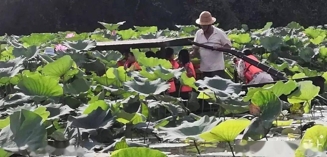 真精彩!来看宁波中小学生暑期社会实践生活的多彩姿势‘太阳成tyc7111cc’(图3)
真精彩!来看宁波中小学生暑期社会实践生活的多彩姿势‘太阳成tyc7111cc’(图3)