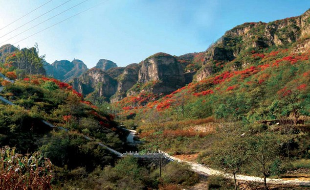 女明星流行的素食 真的能够帮助减肥吗‘太阳成集团tyc7111cc’(图2) 太阳成tyc7111