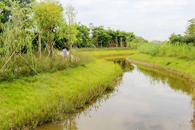 女明星流行的素食 真的能够帮助减肥吗‘太阳成集团tyc7111cc’(图1) 太阳成集团tyc7111cc