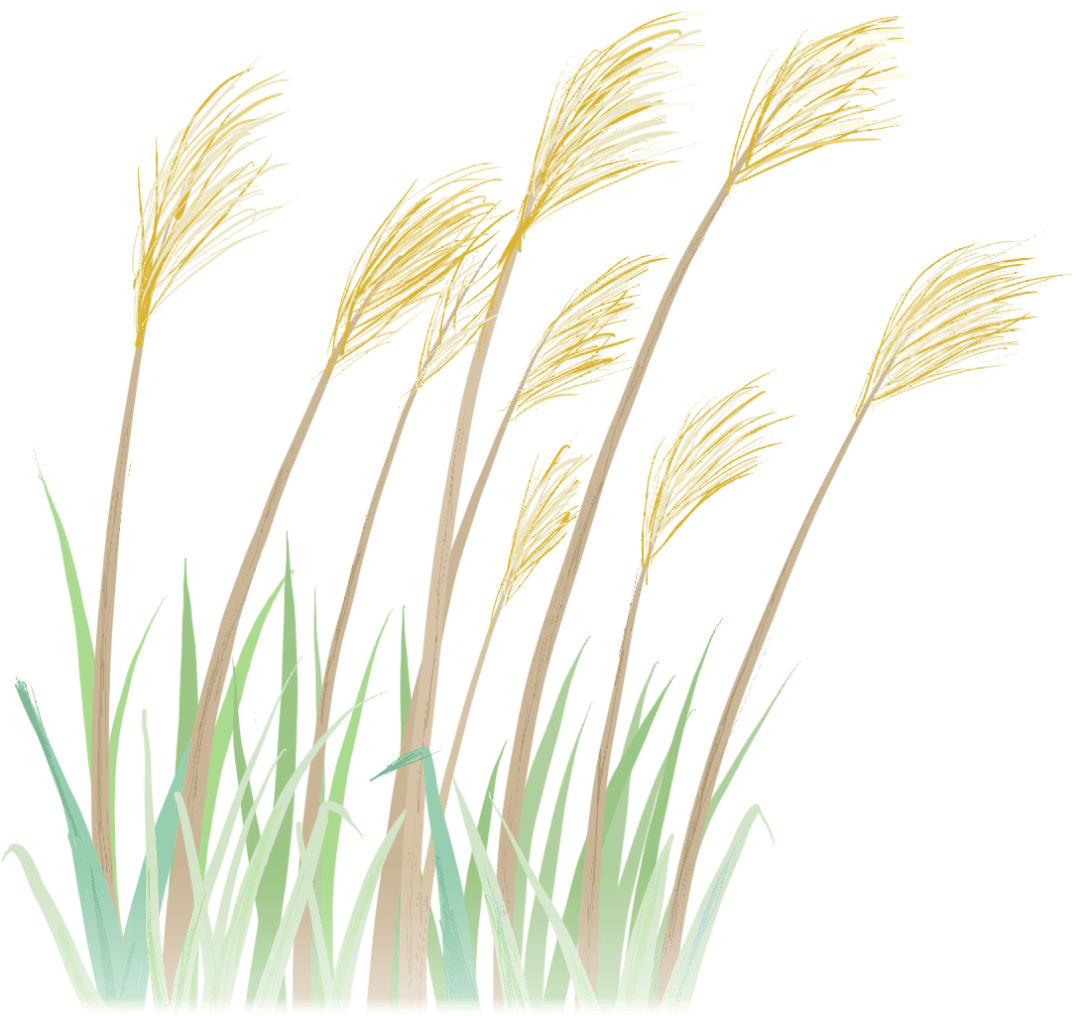 太阳成tyc7111_
新平：各界爱心人士努力响应“99公益日”项目(图9)