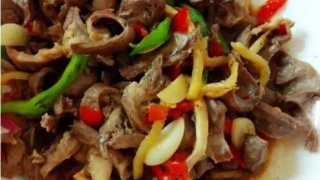 青海:青海海西州藏羊、牦牛高效养殖技术人员培训班在乌兰县举办【太阳成tyc7111cc】(图1) 太阳成集团tyc7111cc