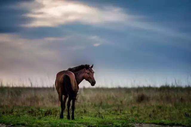 太阳成tyc7111-怀孕6个月女医生照片感动网友(图1) 太阳成tyc7111cc