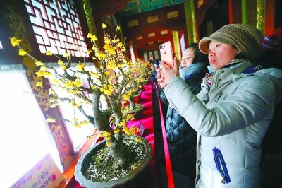 太阳成tyc7111cc:恐怖便当在韩国网络走红网友称系减肥佳品(图)(图1) 太阳成tyc7111