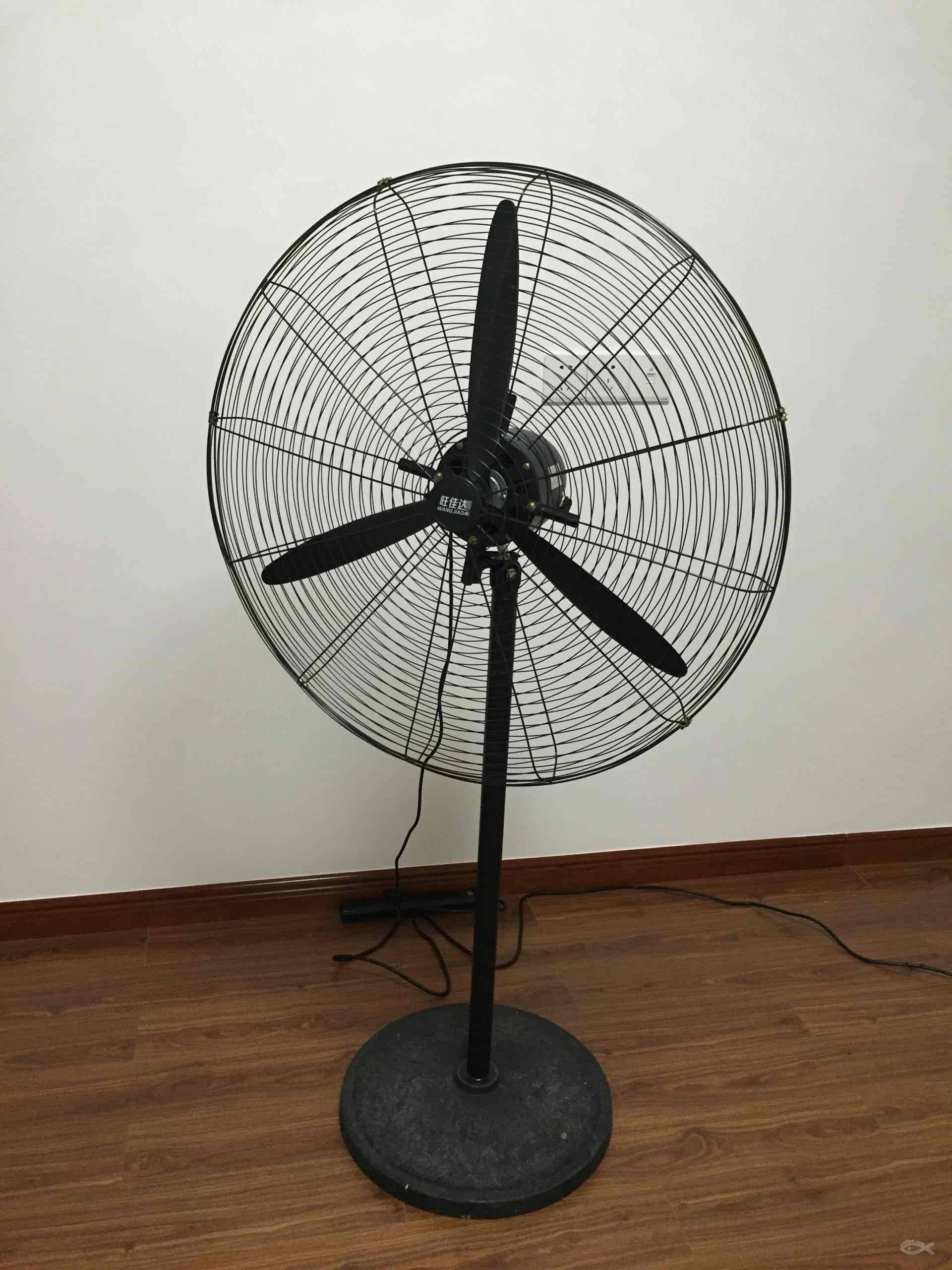 尼日利亚中北部暴发霍乱致至少15人死亡‘太阳成tyc7111cc’(图1) 太阳成tyc7111