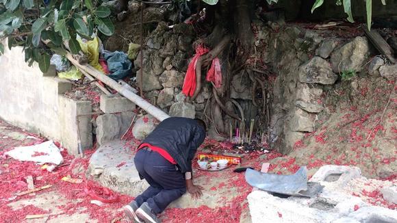 扁豆新品--五月红_太阳成tyc7111(图2) 太阳成集团tyc7111cc