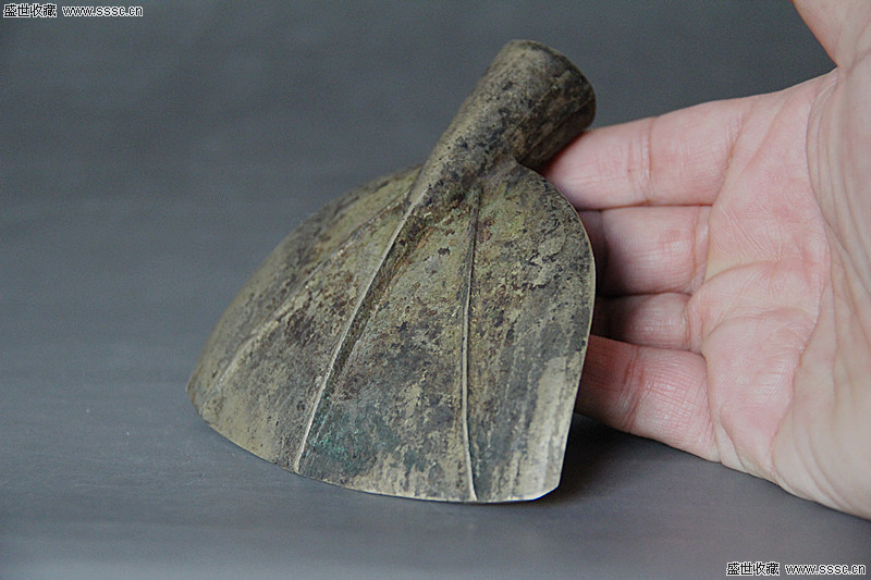 太阳成集团tyc7111cc