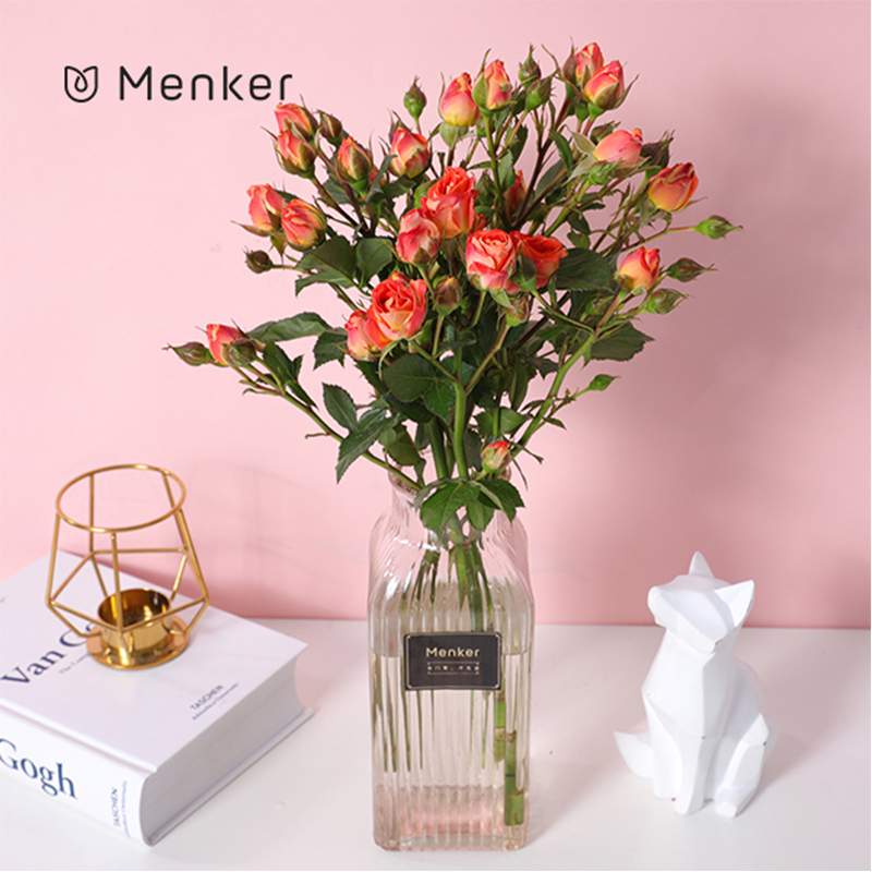 甘肃:甘肃陇南市武都区油橄榄鲜果采收加工忙:太阳成tyc7111(图3) 太阳成tyc7111cc