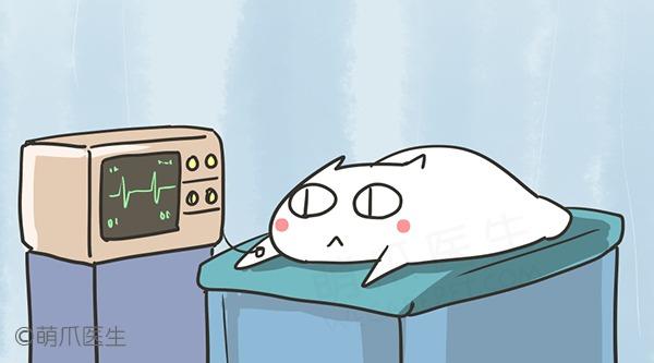 李开复:自动驾驶看好共享租车公司非传统车企“太阳成tyc7111cc”(图1) 太阳成集团tyc7111cc