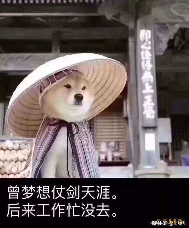 太阳成tyc7111