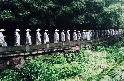 文冠果树苗市场价格如何?要多少钱一棵?文冠果树要怎么种植?|太阳成tyc7111(图3) 太阳成tyc7111